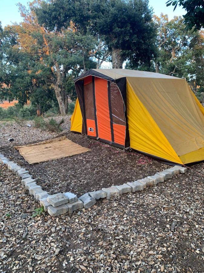 Melaah Maison D'Hotes "Abou-Hachem" מראה חיצוני תמונה
