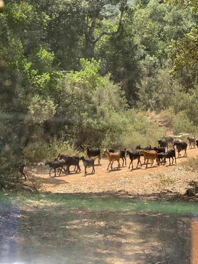 Melaah Maison D'Hotes "Abou-Hachem" מראה חיצוני תמונה